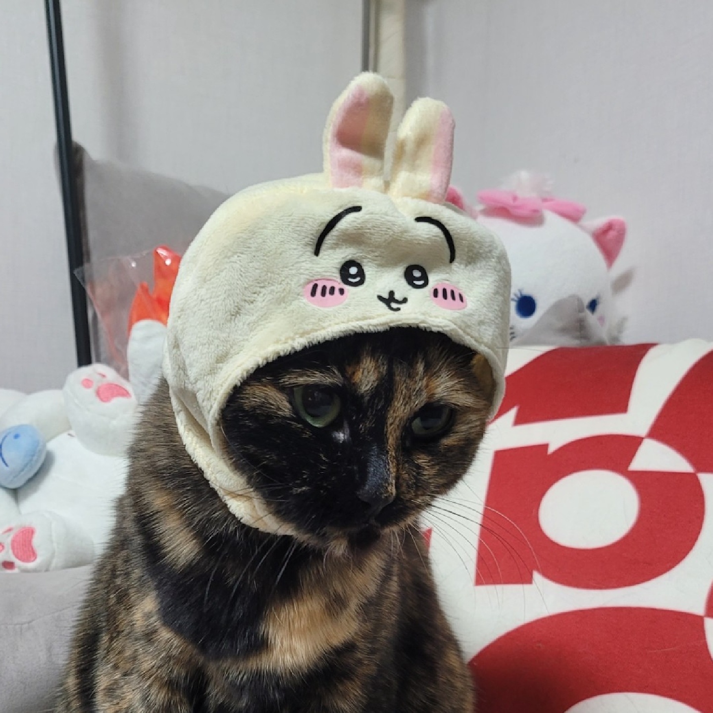 🎀치이카와(먼작귀) 고양이 모자🎀
