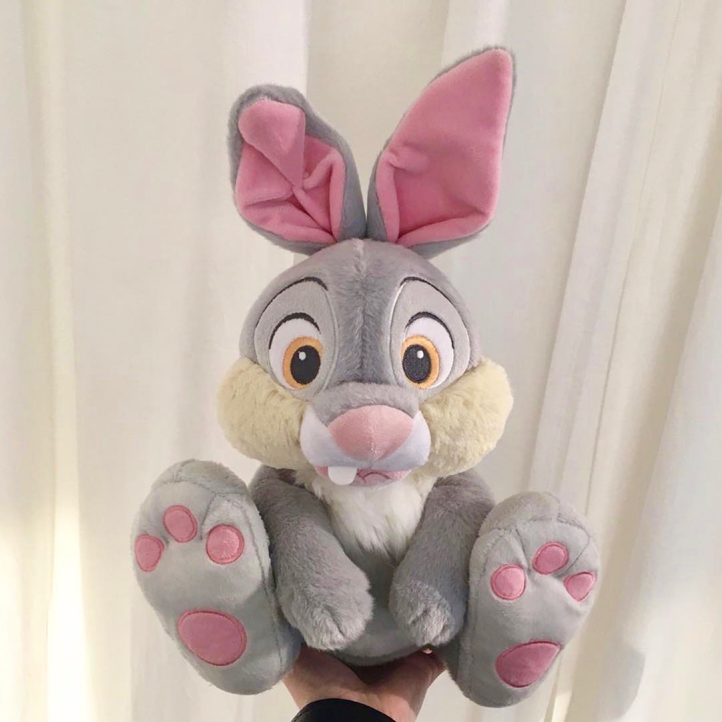 디즈니 썸퍼🐰