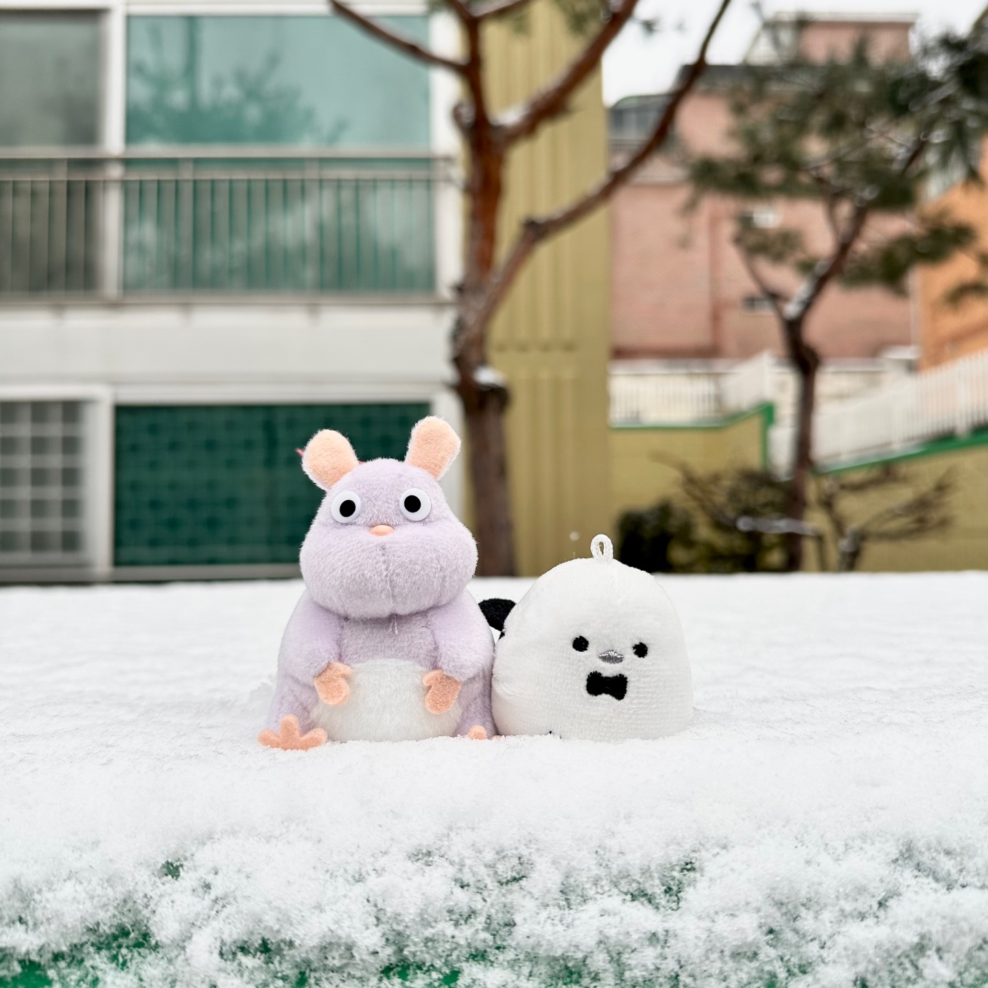 뽀쨕