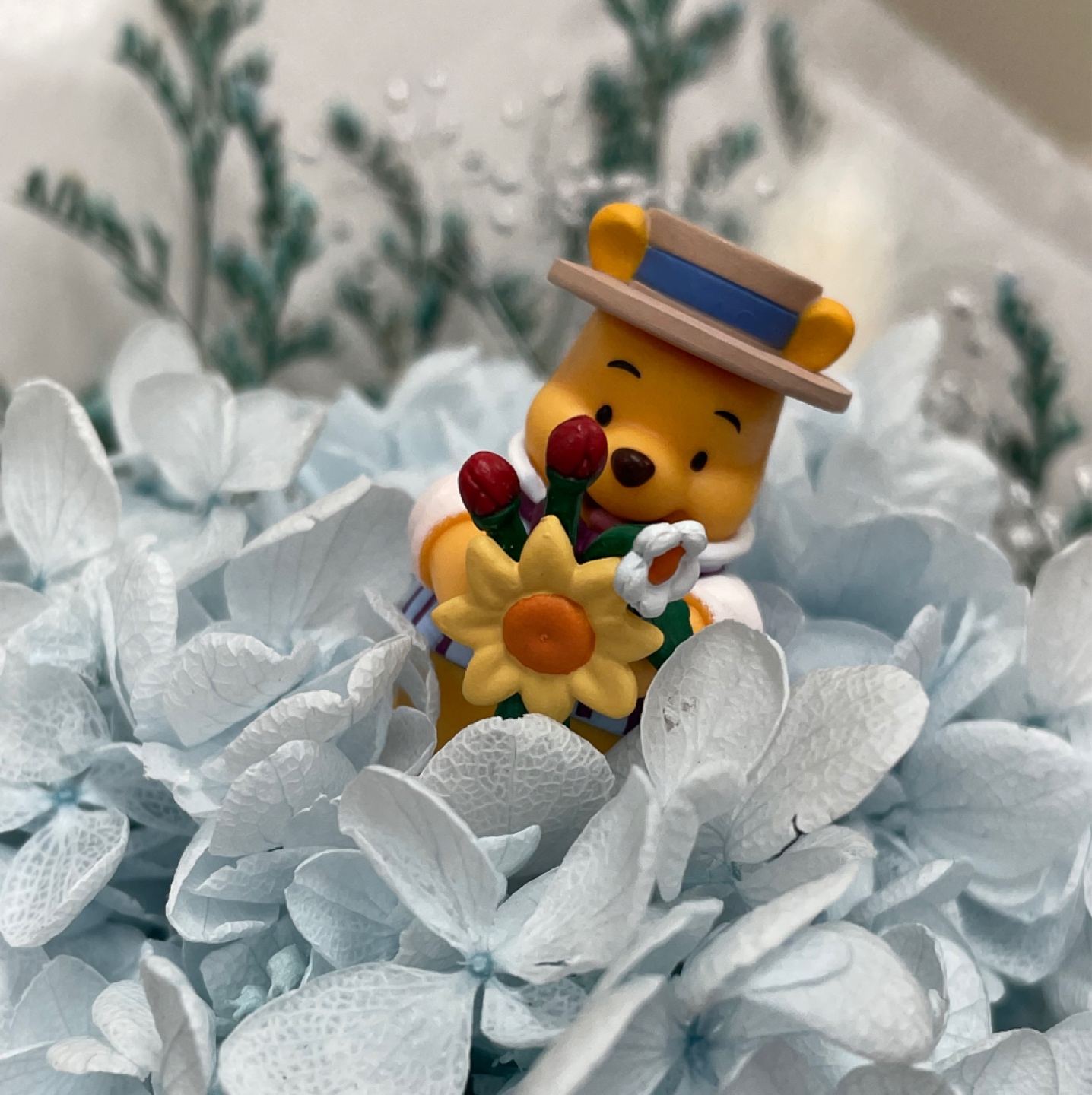 🌻꽃보다 푸🧸