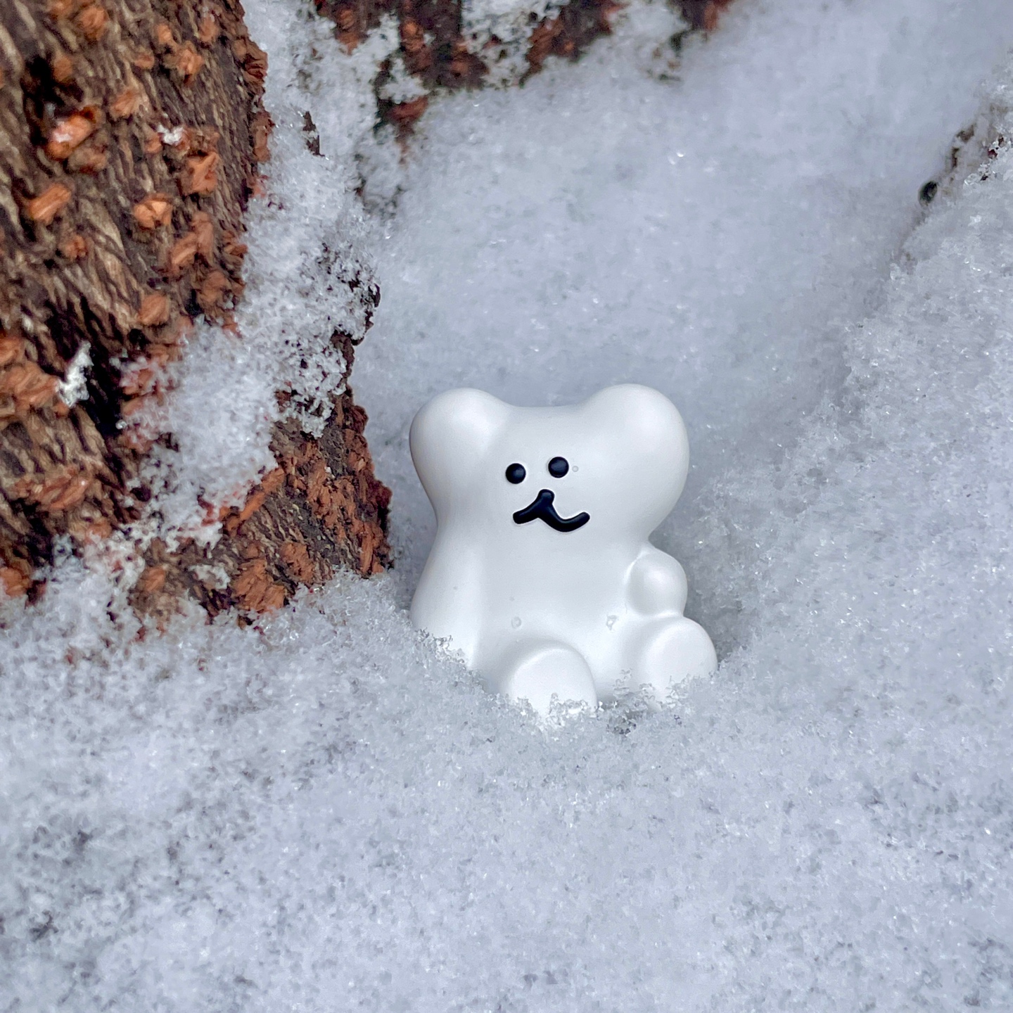 드디어 눈이랑 찍어준 보보 인생샷📸