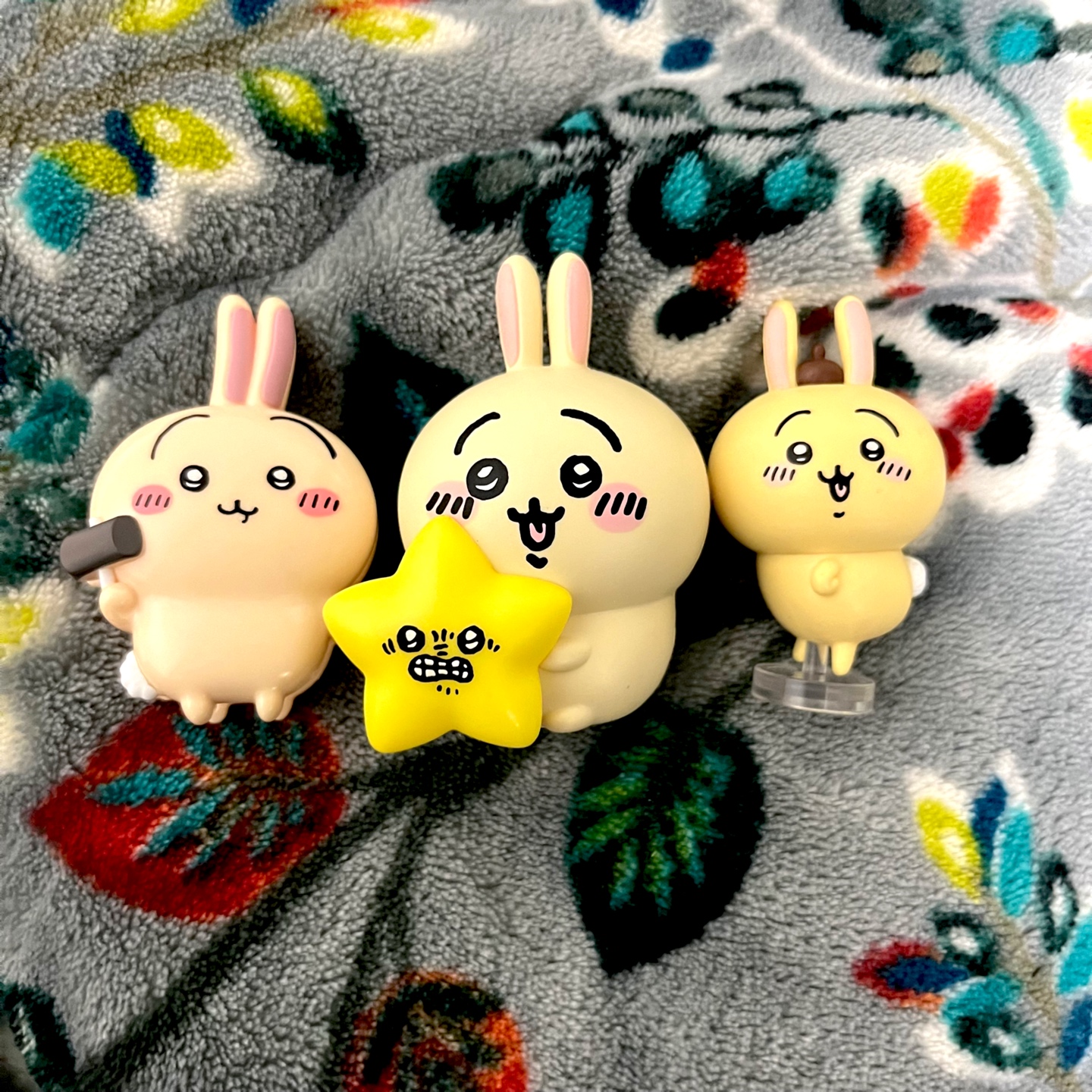 치이카와 우사기