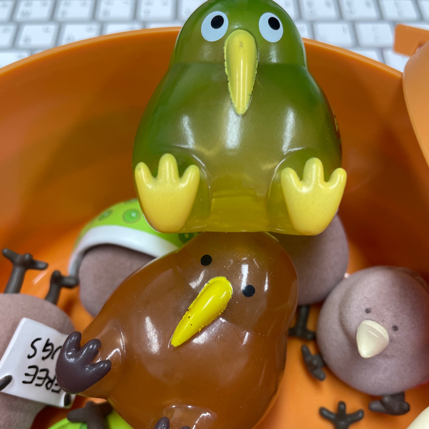 KIWI FRUIT