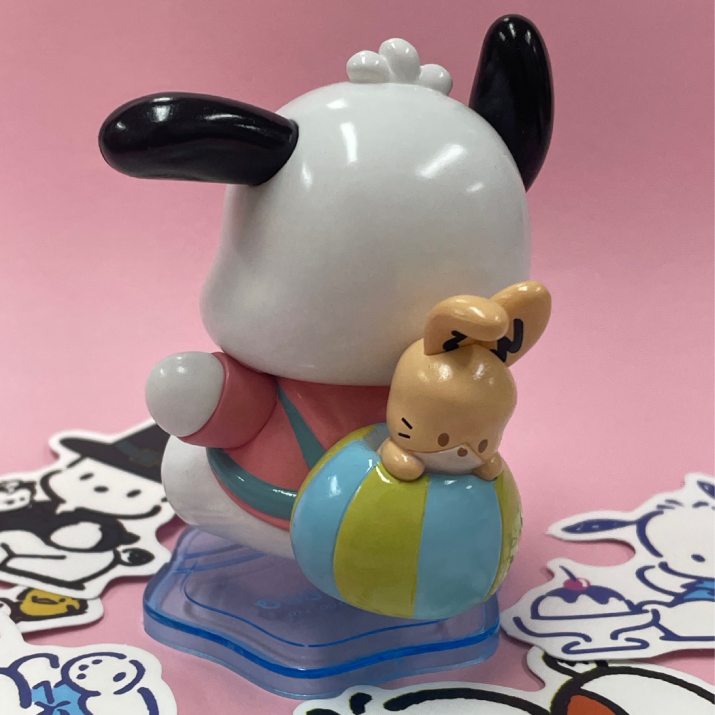 마멜덕후가~~또~~ 포차코 분양🐾