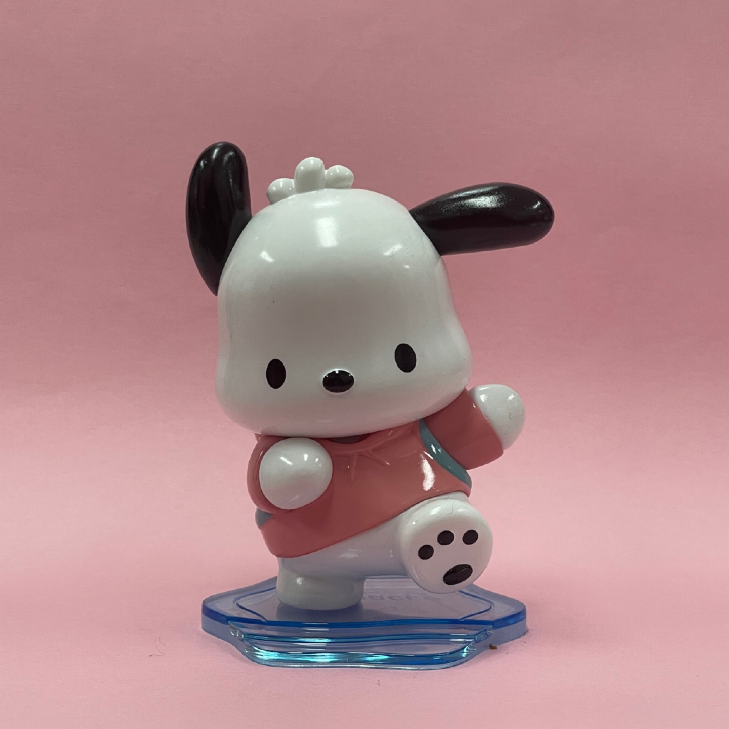 마멜덕후가~~또~~ 포차코 분양🐾