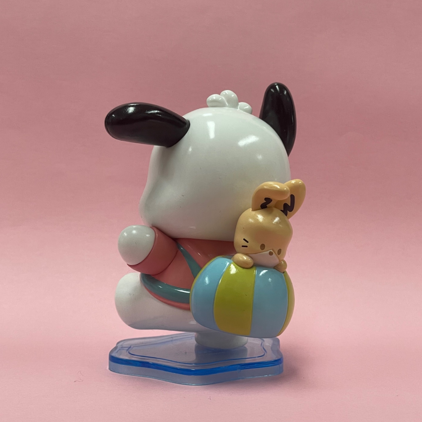 마멜덕후가~~또~~ 포차코 분양🐾
