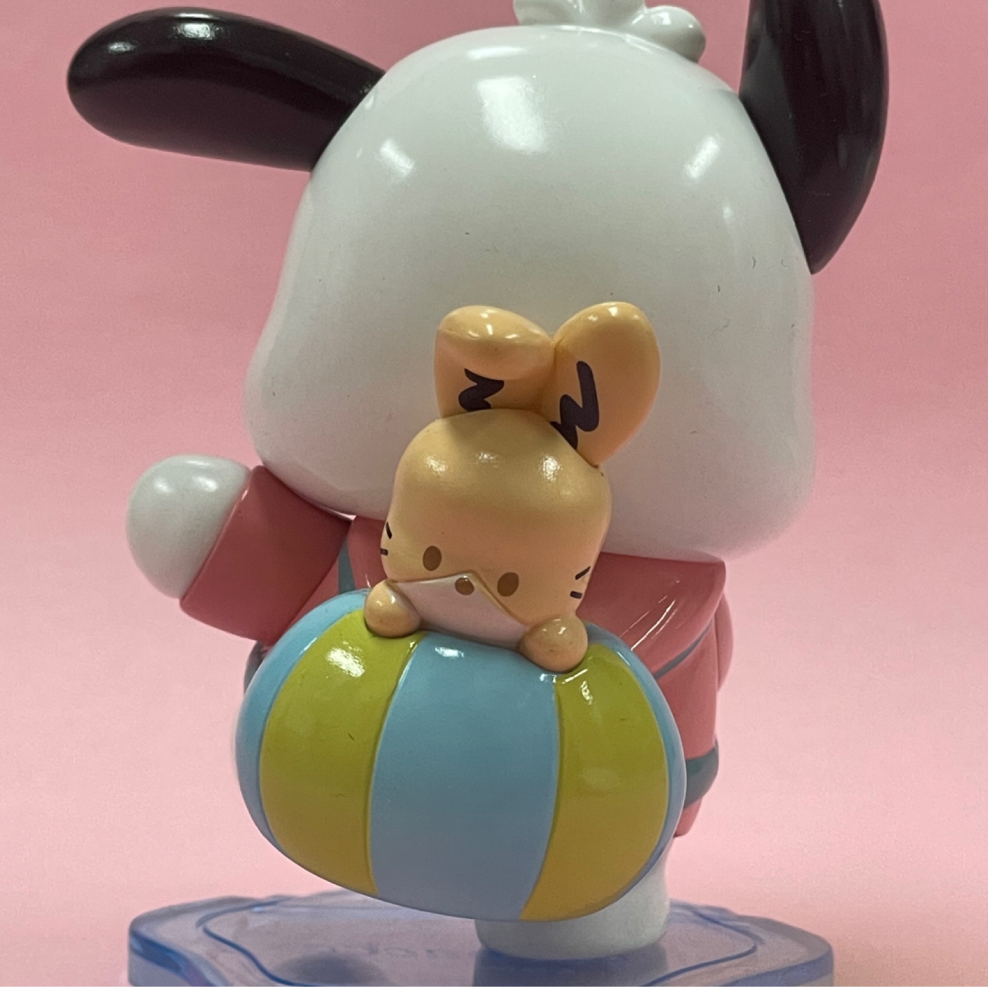 마멜덕후가~~또~~ 포차코 분양🐾