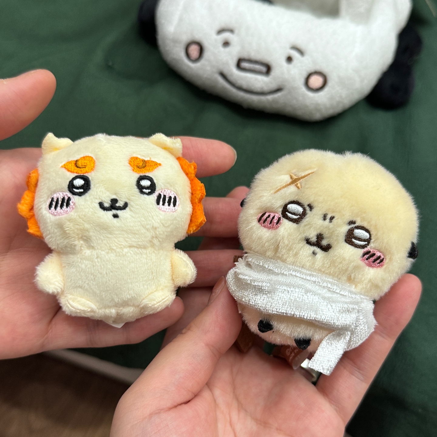랏코랑 시사랑💖