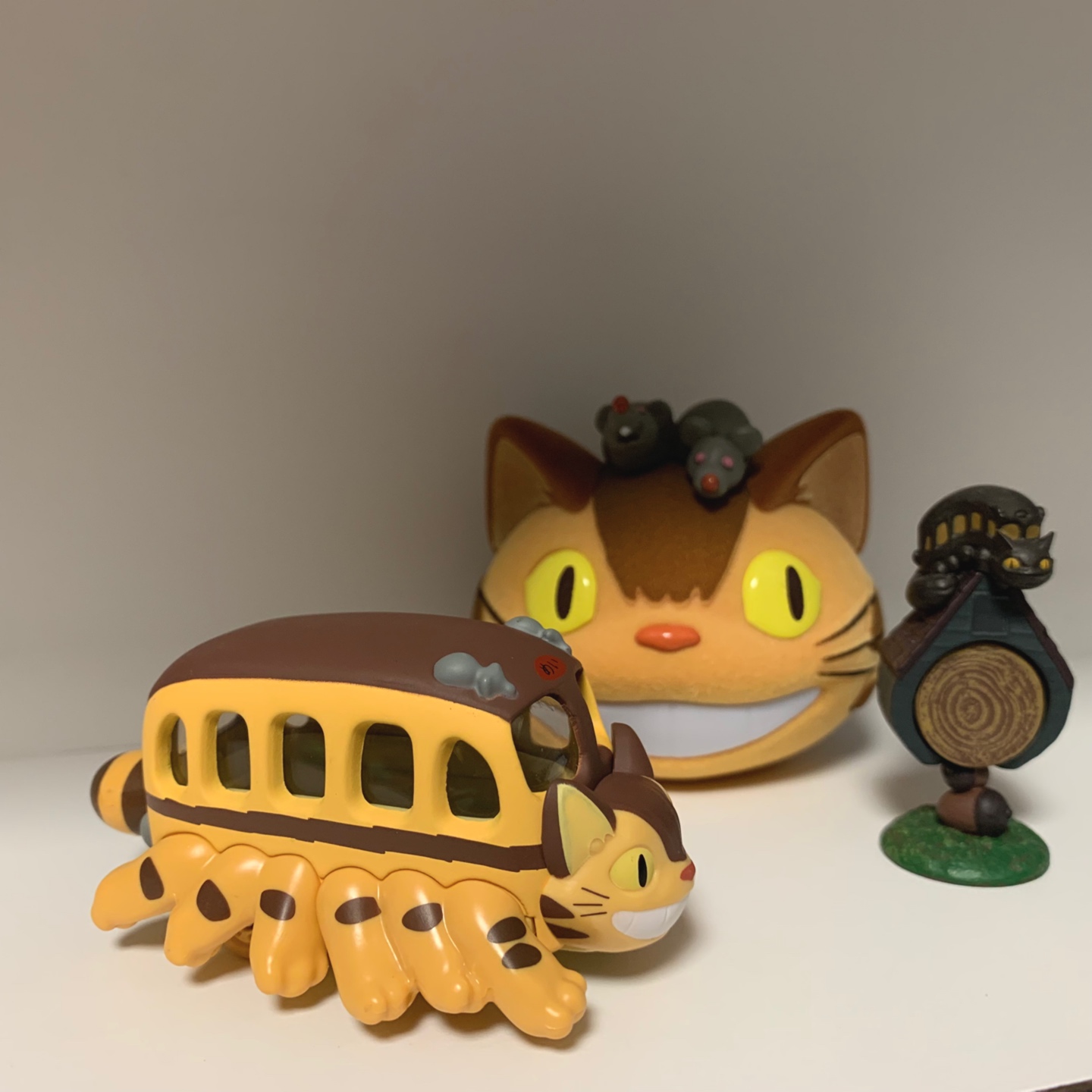 🐈🚌