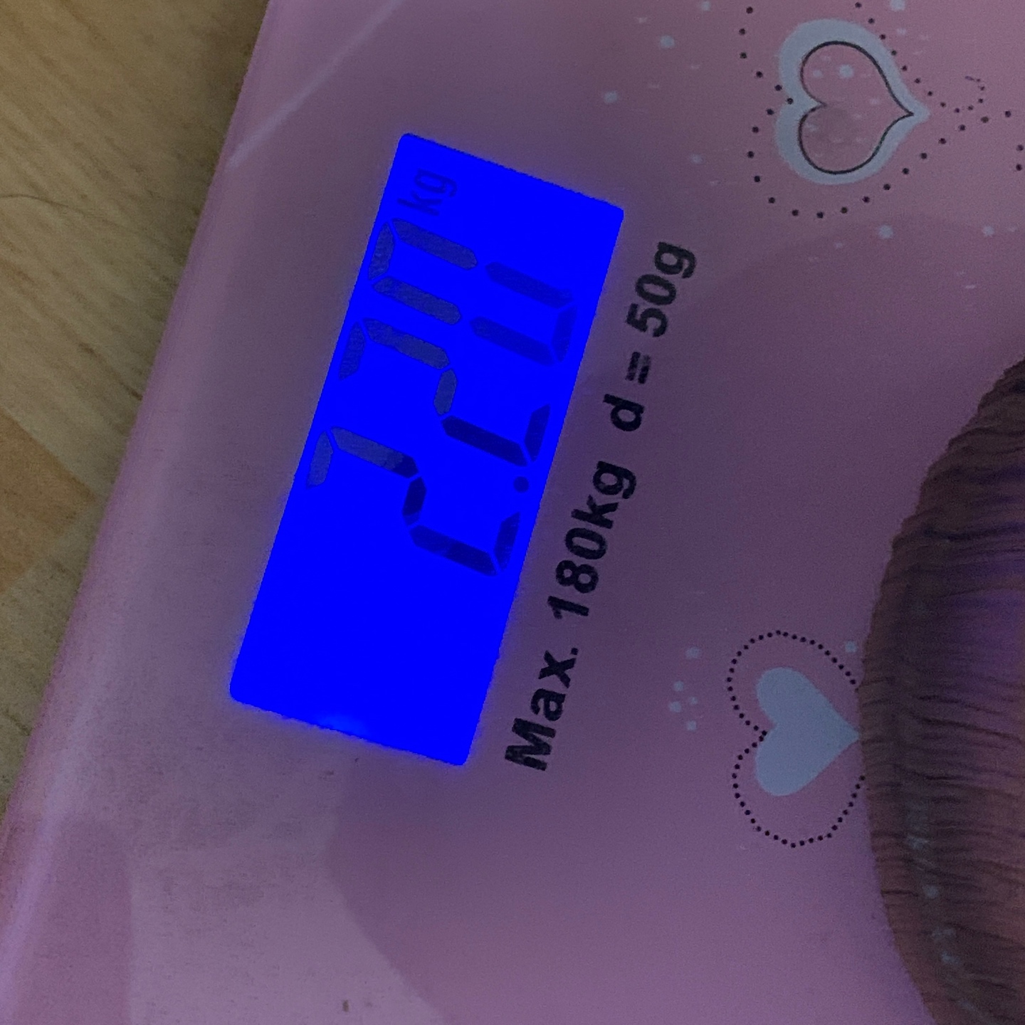 중토토로