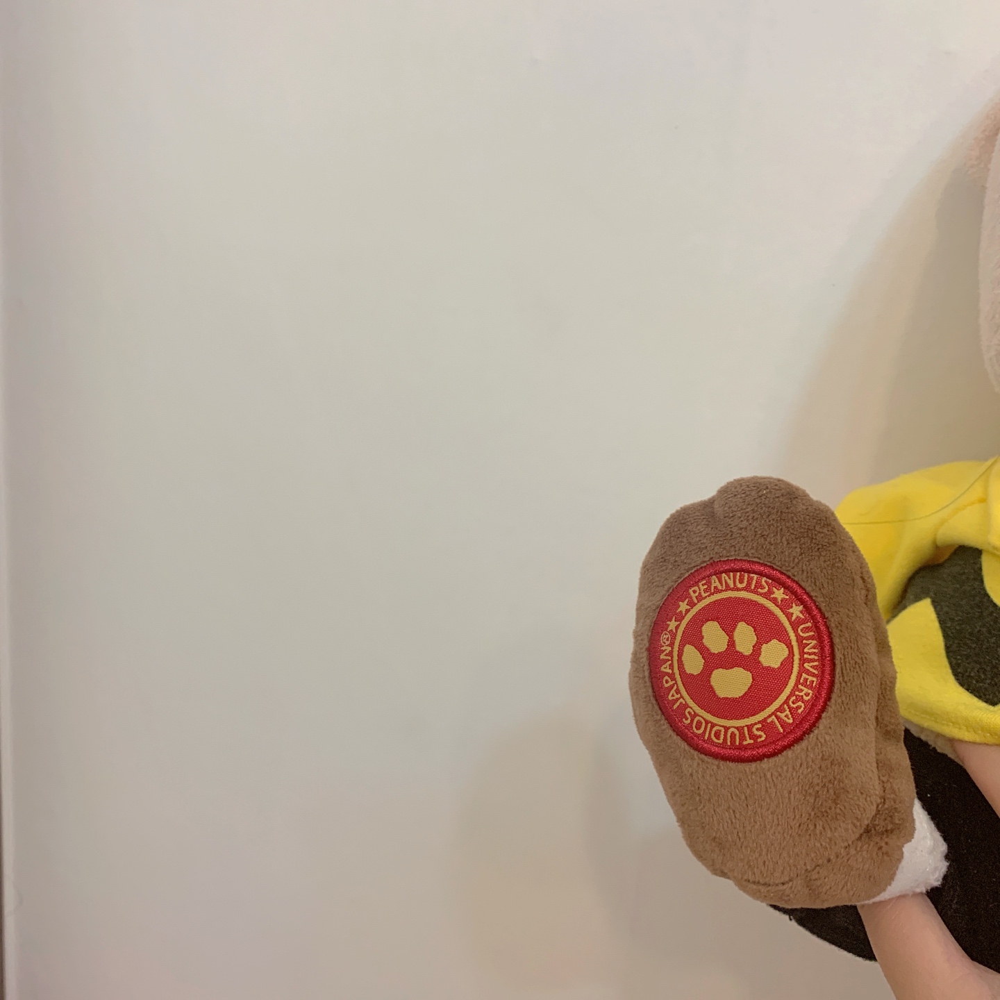 제작년 오사카 유니버셜에서 사온 찰리브라운인형 