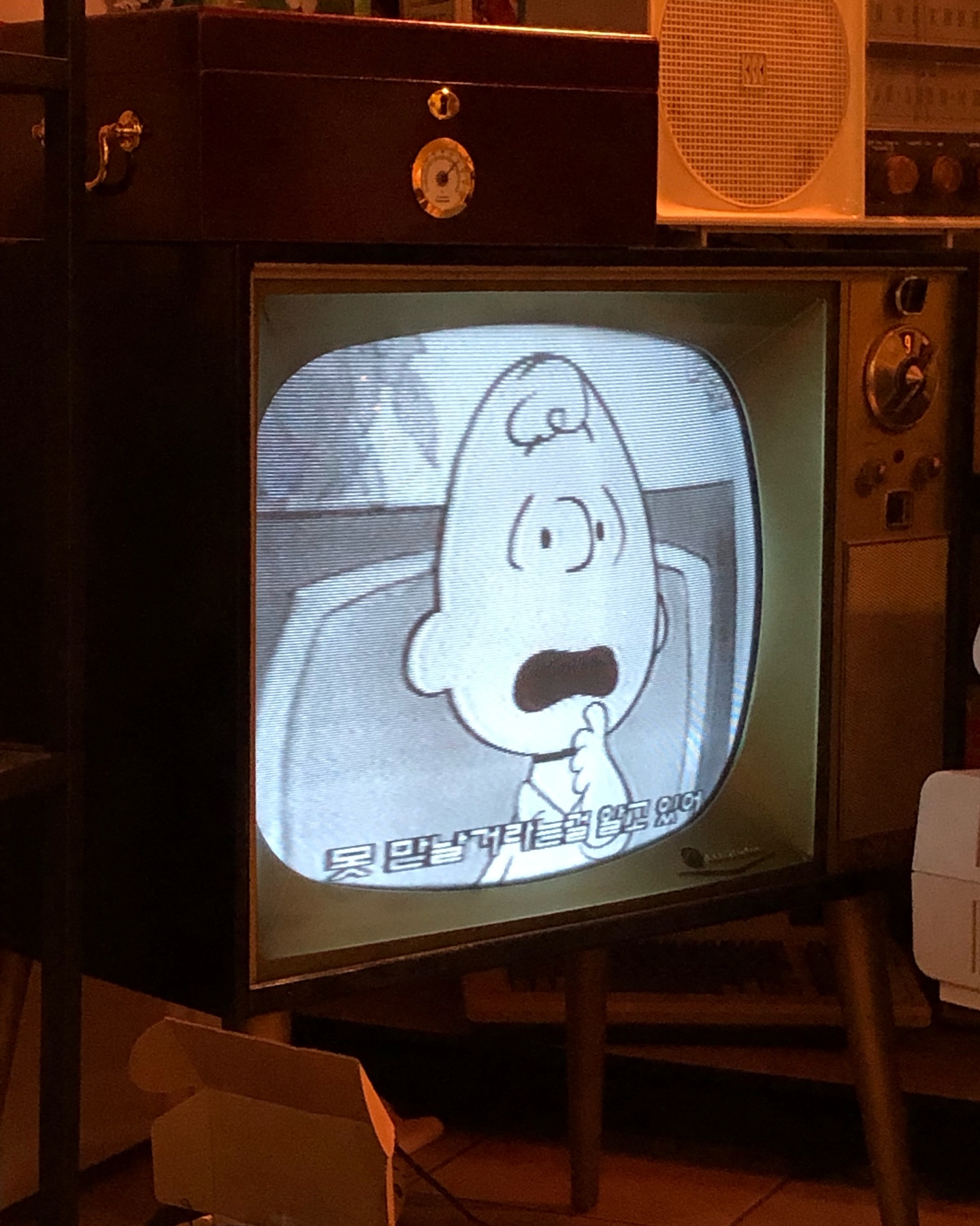 RCA Victor Tv