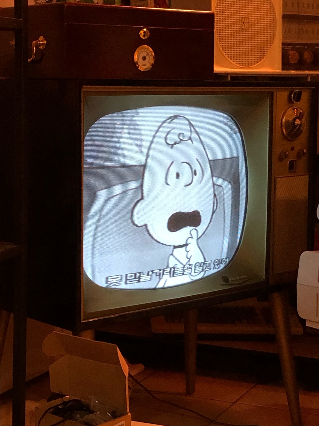 RCA Victor Tv