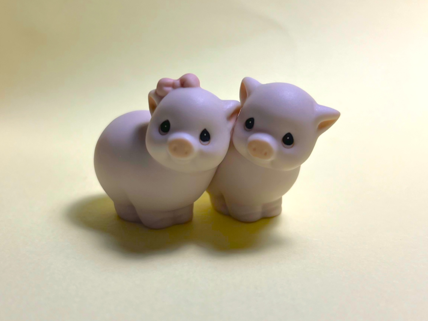프레셔스 모먼트 아기돼지커플🐖🐖