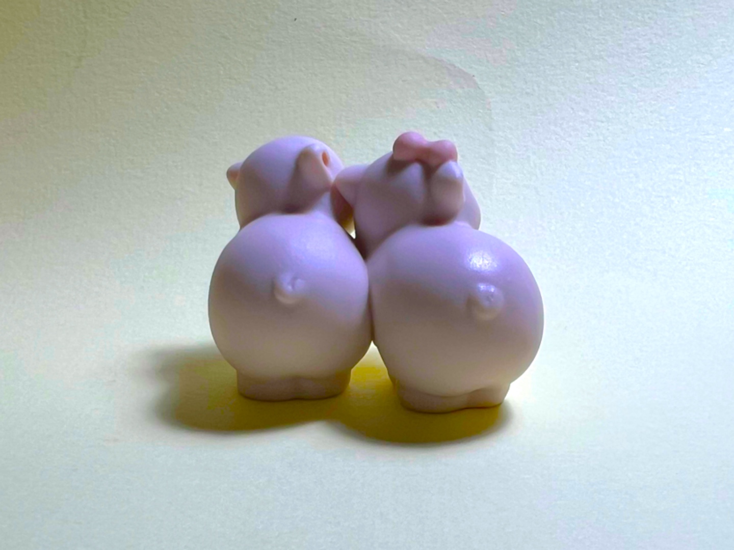 프레셔스 모먼트 아기돼지커플🐖🐖