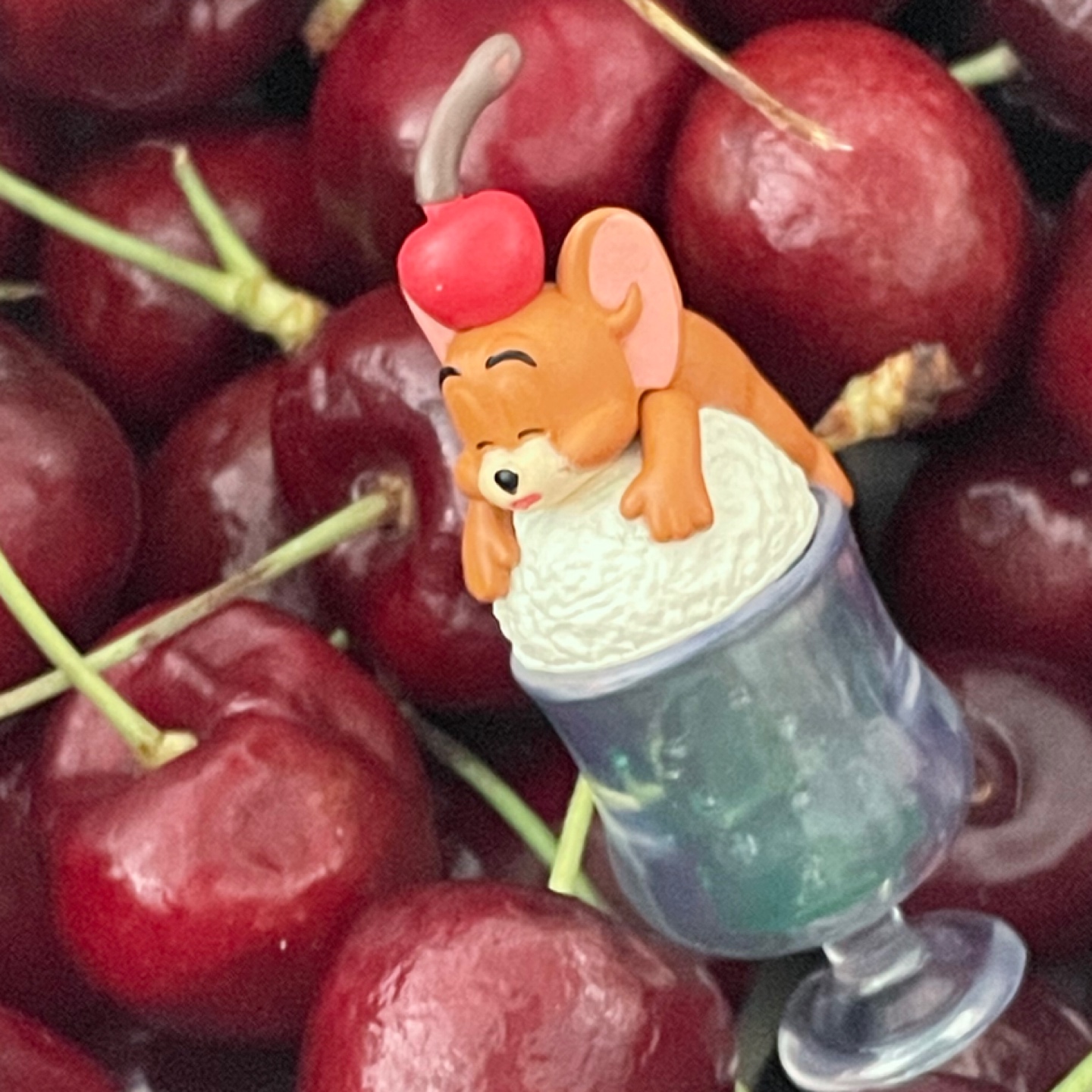 체리? 제리!