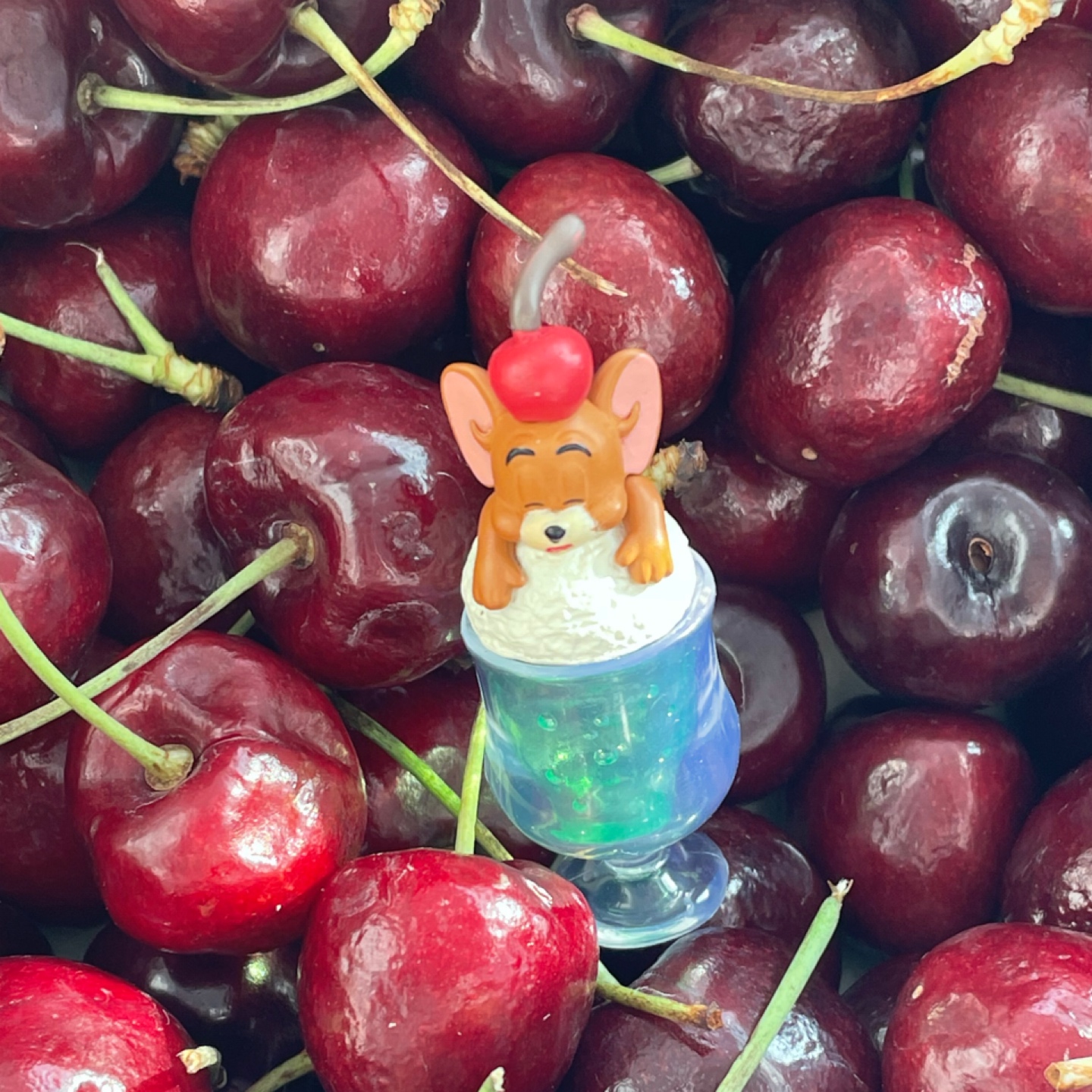 체리? 제리!