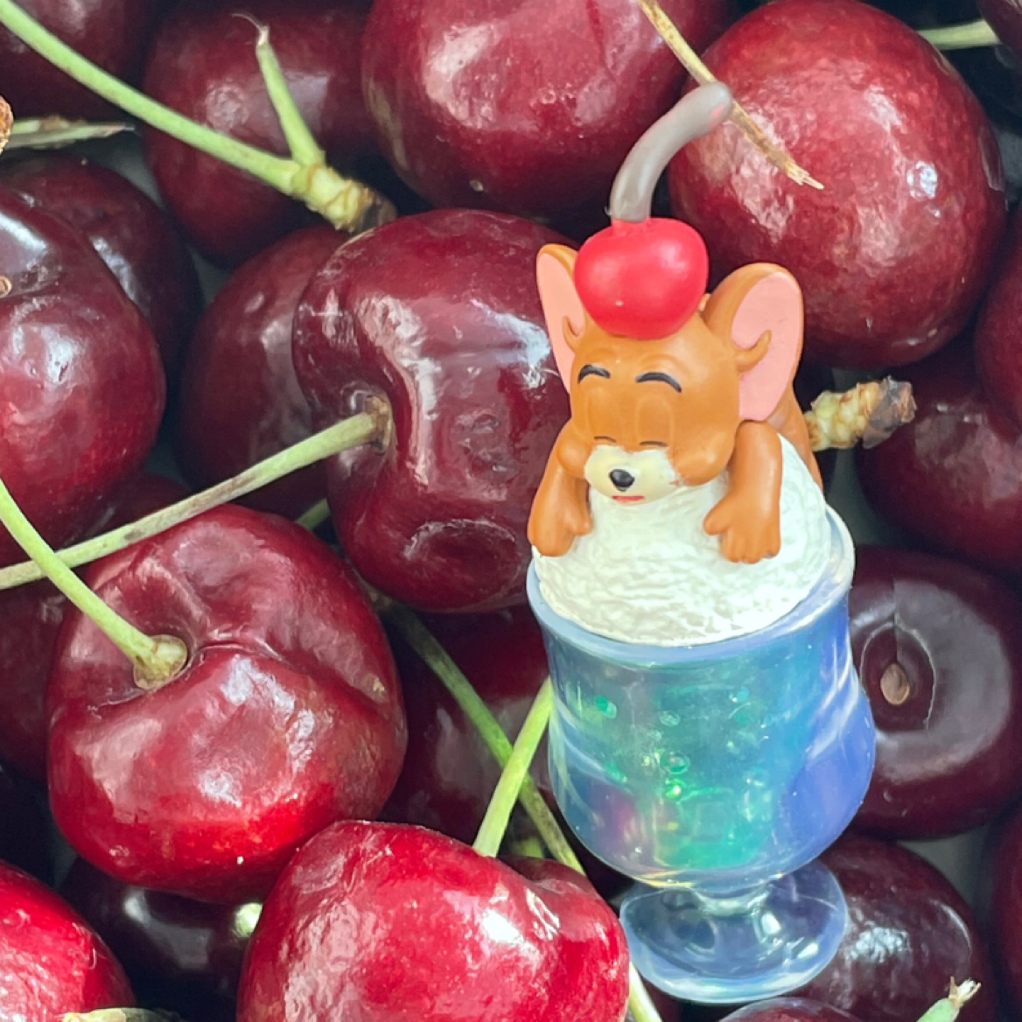 체리? 제리!