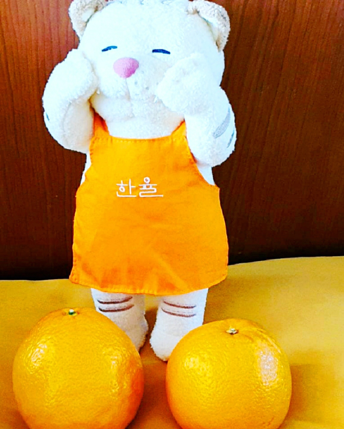 오렌지와 달자