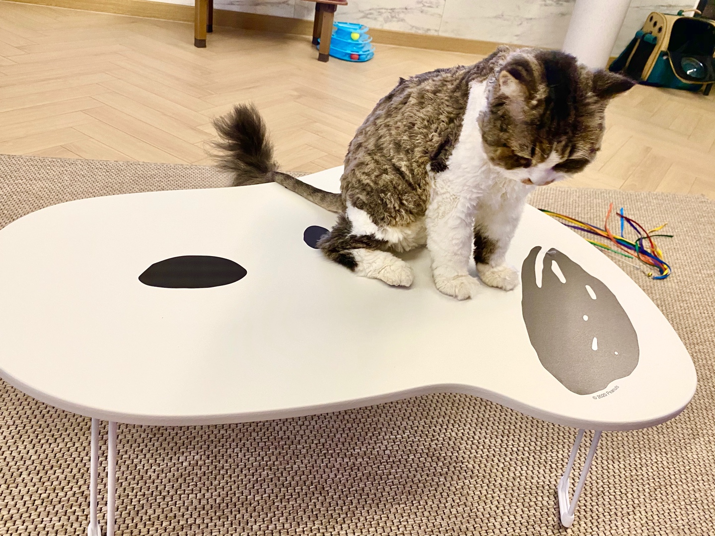 스누피 테이블❣️