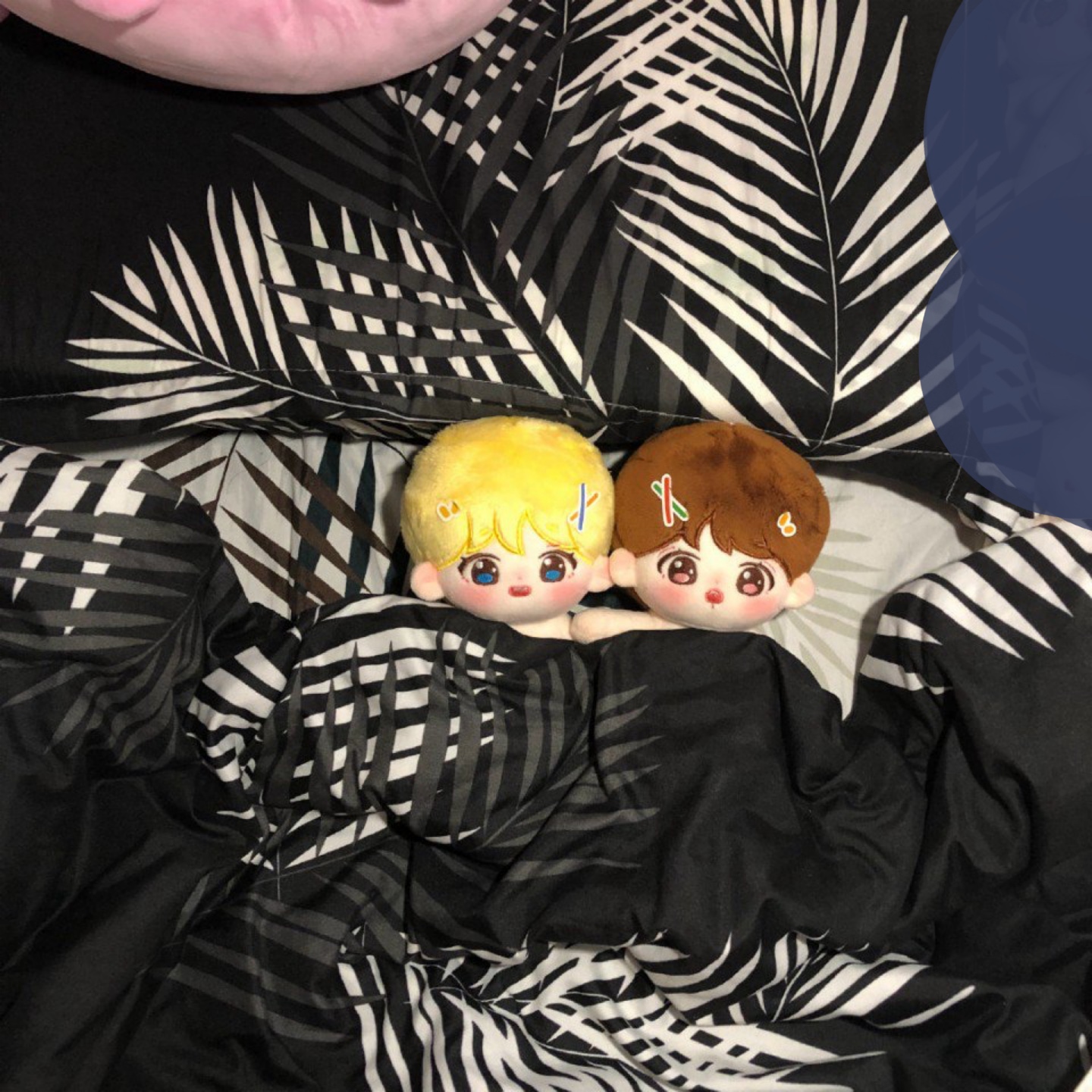 내 새꾸 ✨💗