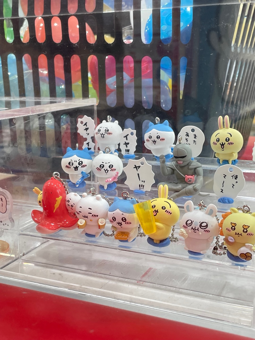 치이카와 쇼케이스 탐난다 🙉