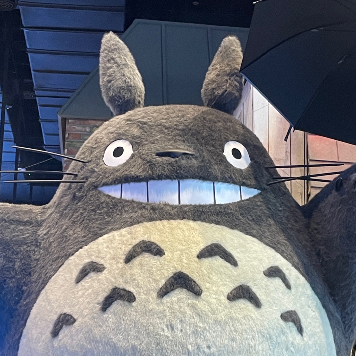 Totoro Smile😀