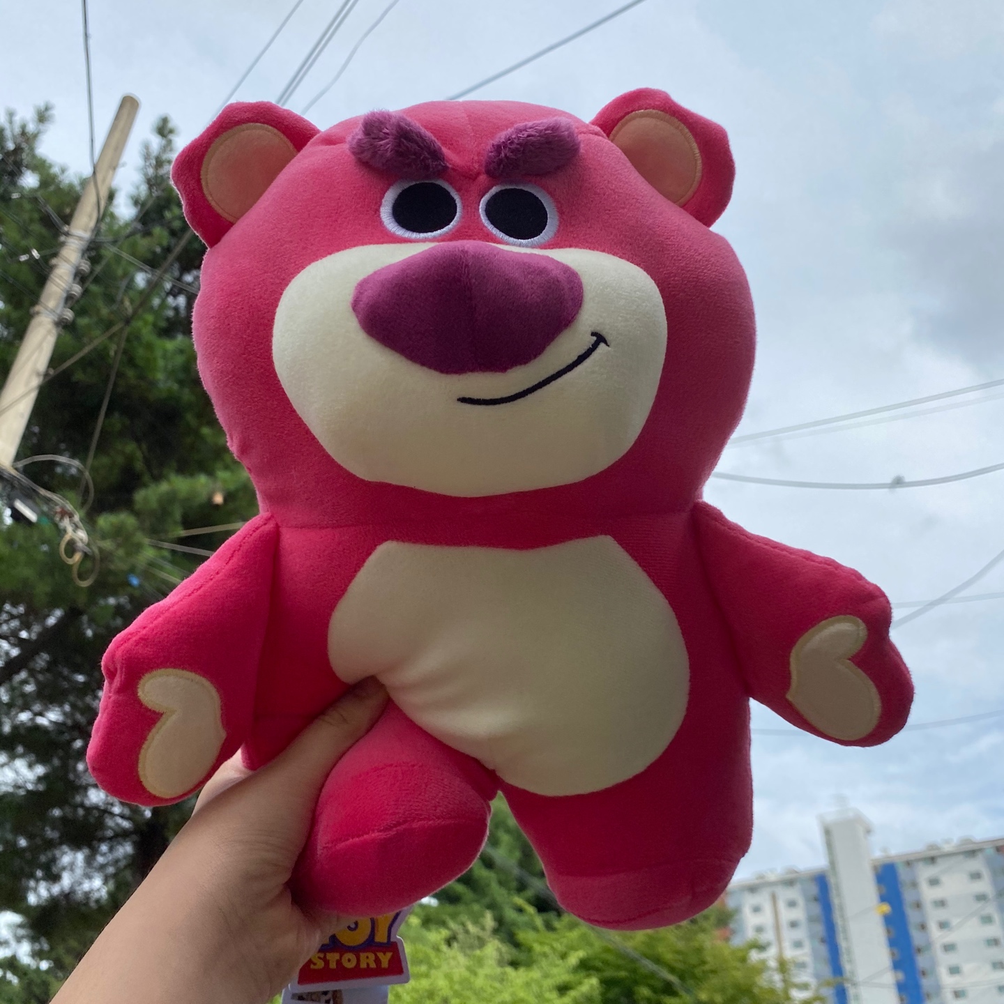 랏소 인형