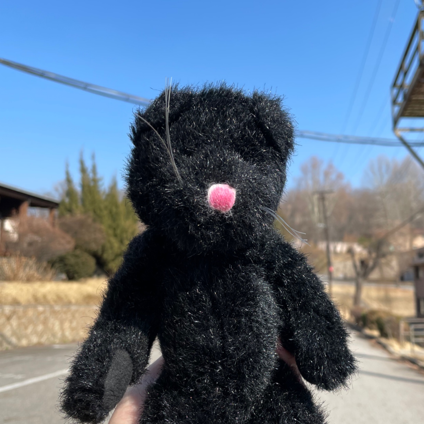 보이즈컬렉션 빈티지 고양이인형🖤