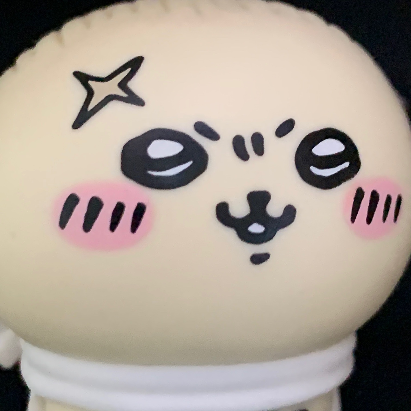 수제 랏코 얼굴 파우치…🐾