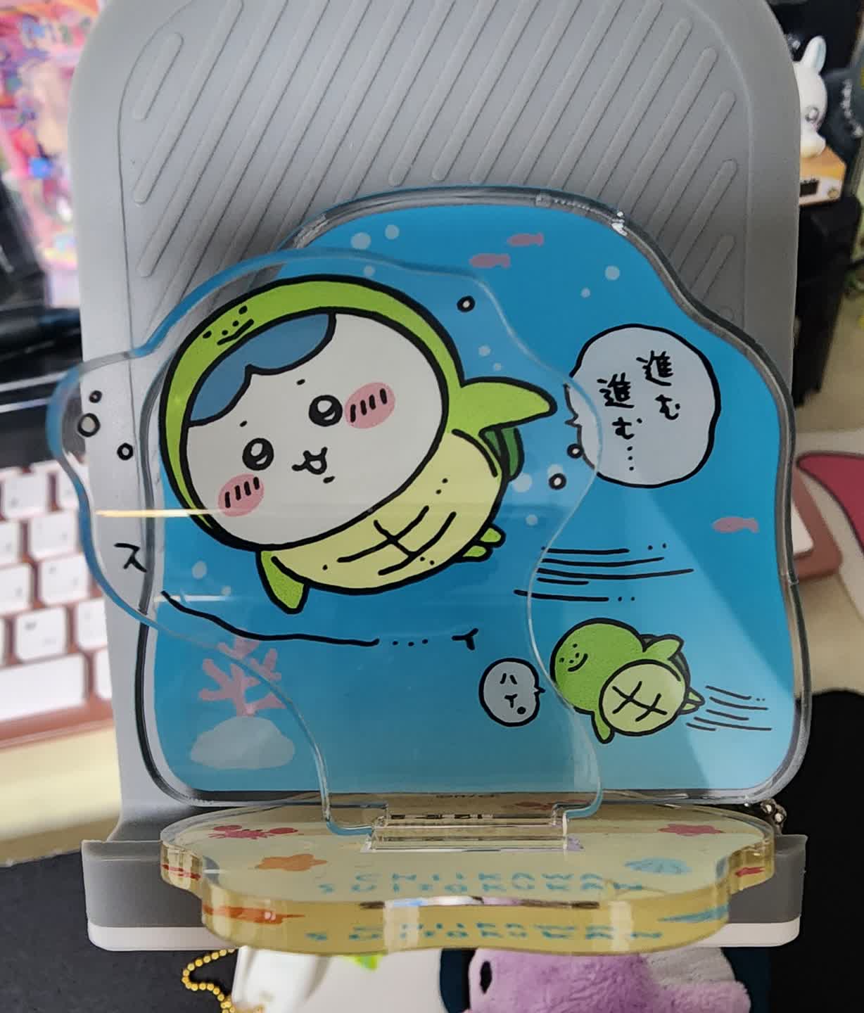 하치와레 거북이
