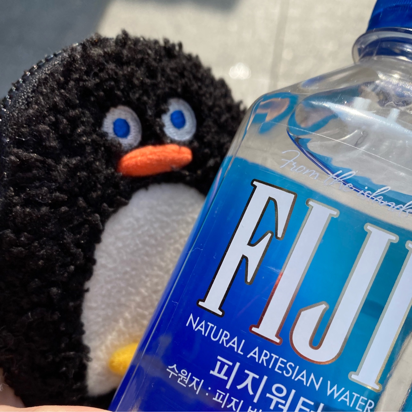브런치 브라더스 펭귄 지갑🐧