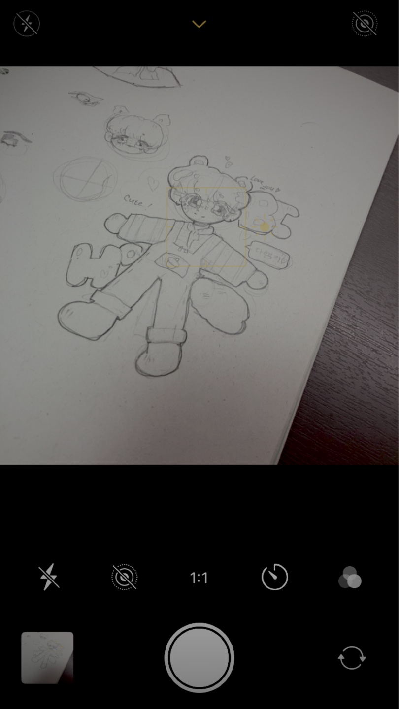 🎨✨
