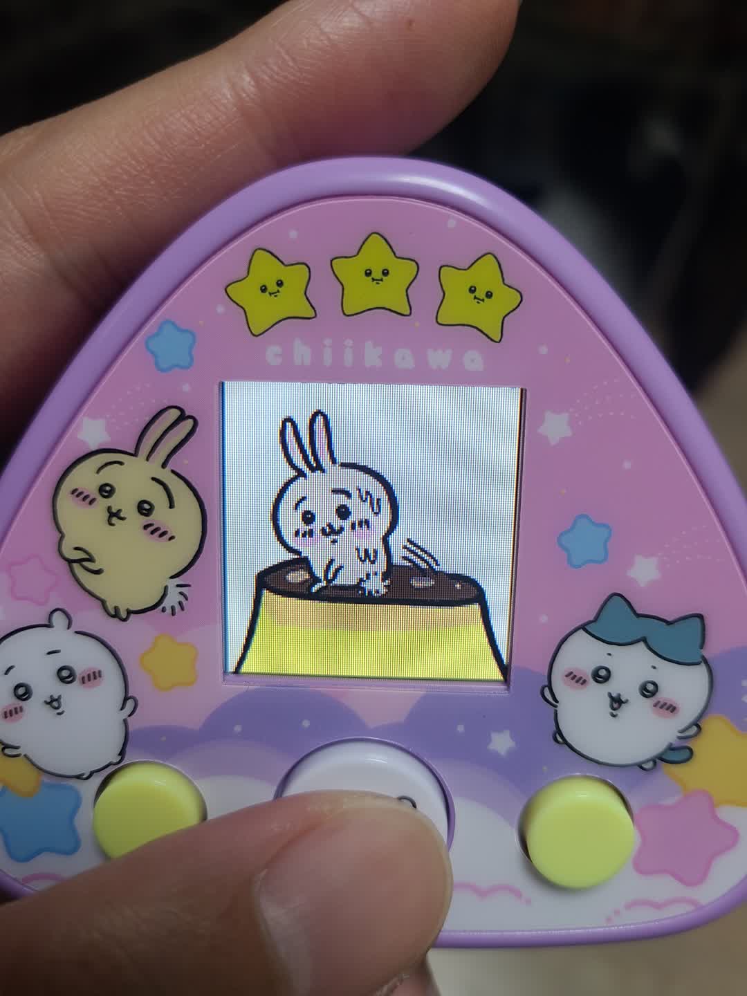 치이카와 다마고치DX 세트!!