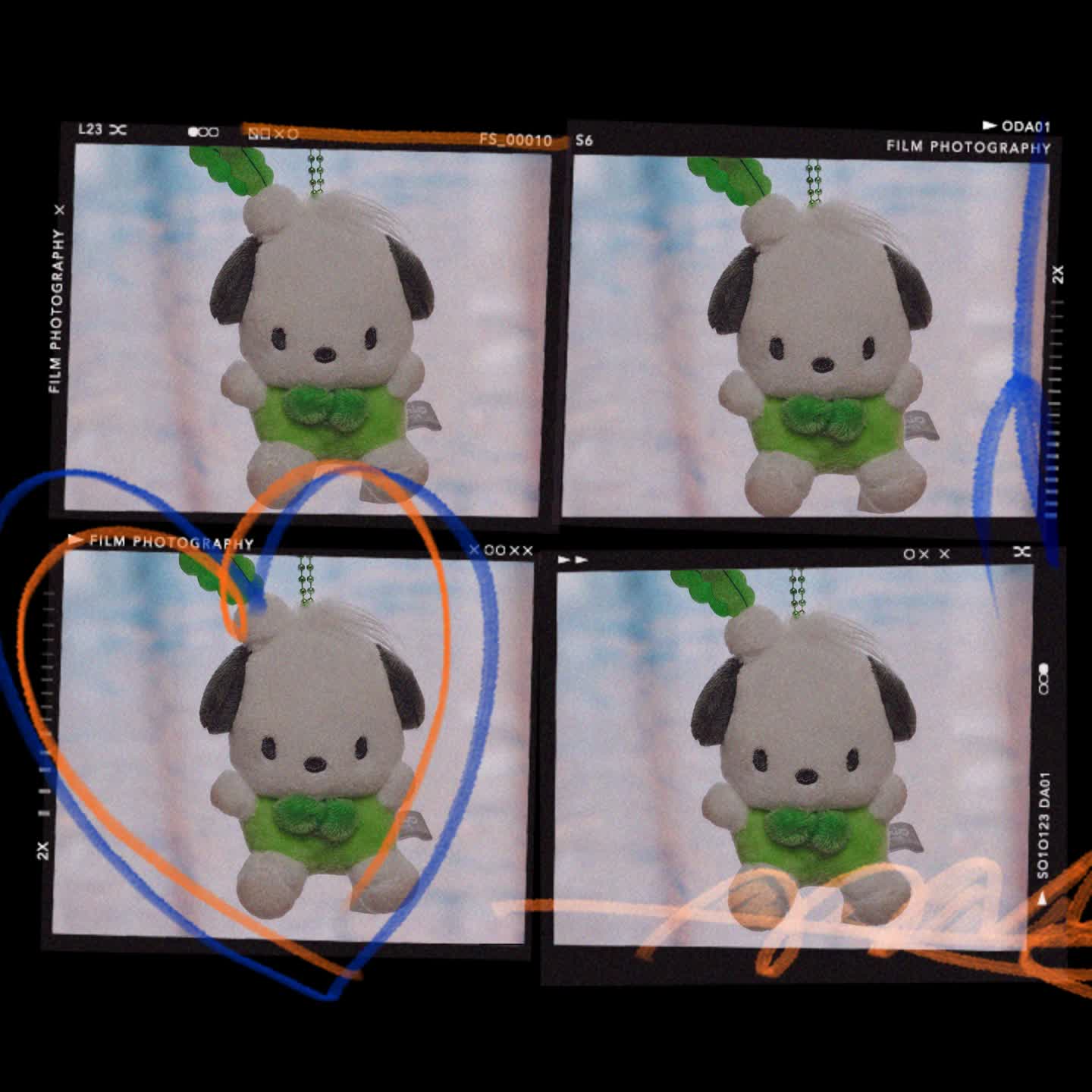 💚포차코💚
