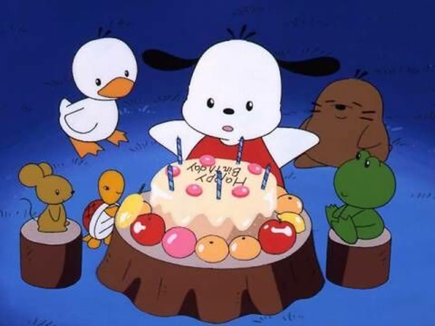 🎂포차코🎂