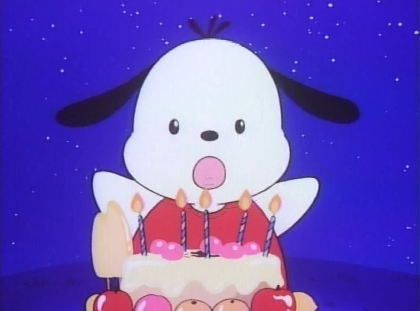 🎂포차코🎂