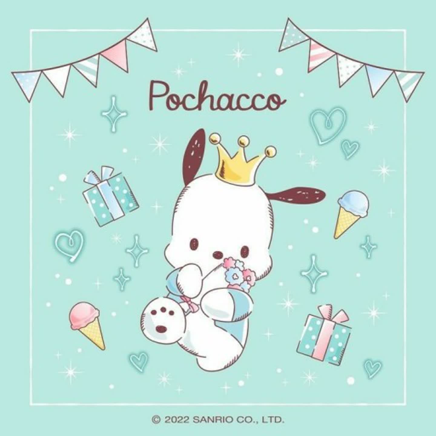 🎂포차코🎂