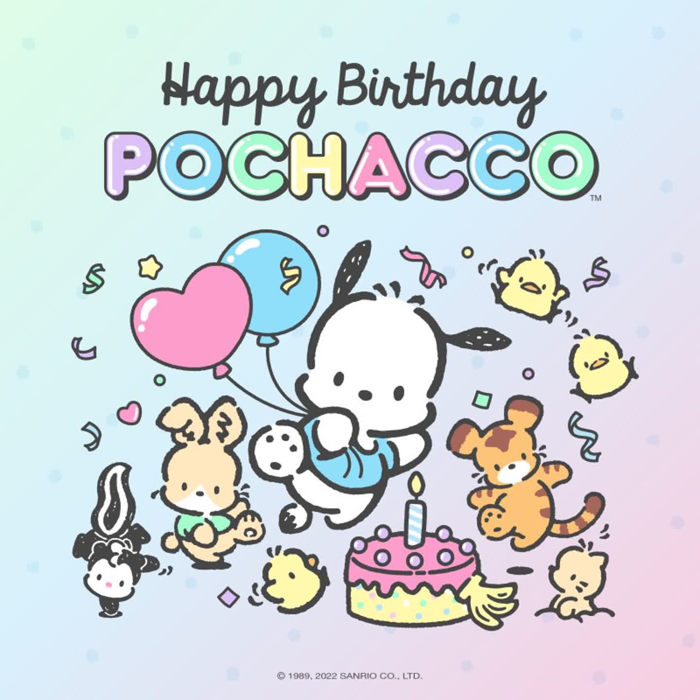 🎂포차코🎂