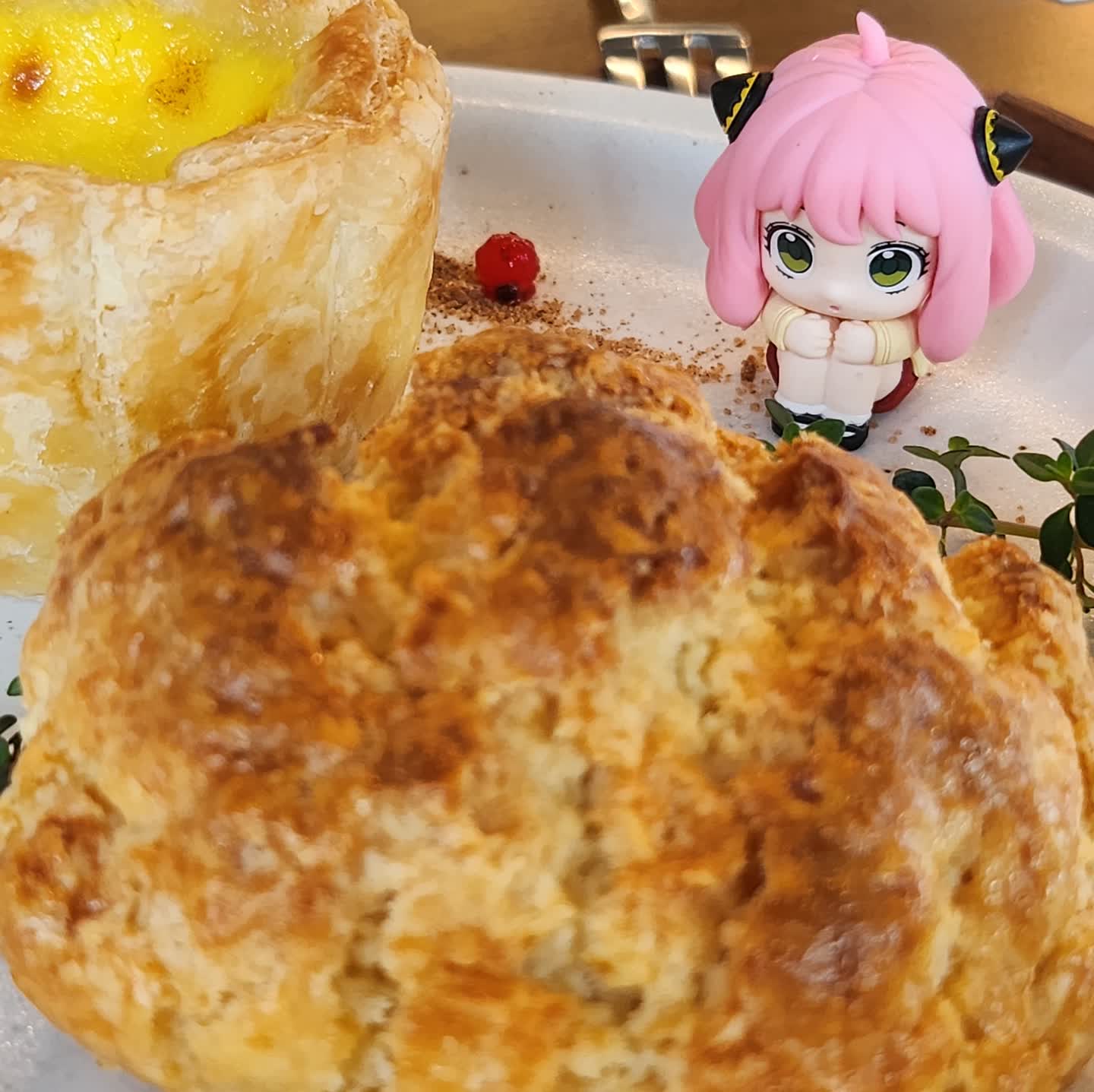 아냐 와쿠와쿠
