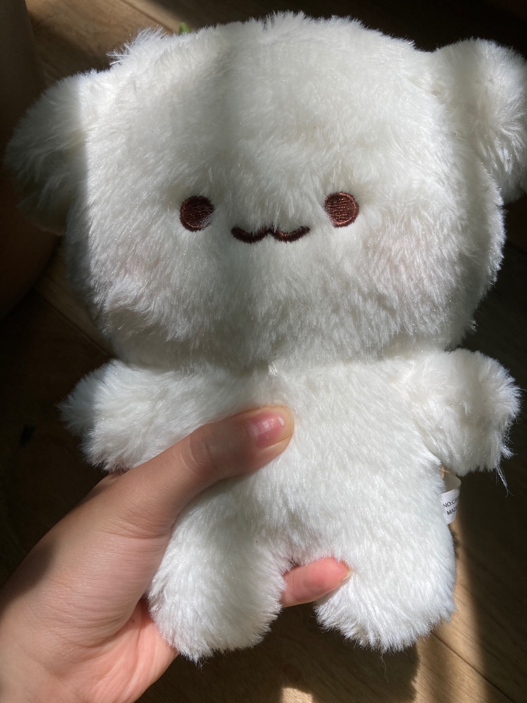 창문쪽에 자연광있길래 