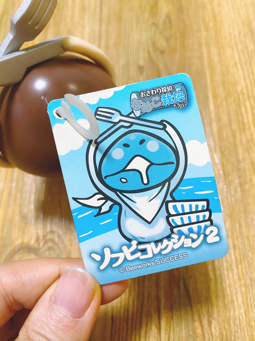おかわり なめこ( ˊ̱˂˃ˋ̱ )
오카와리 나메코