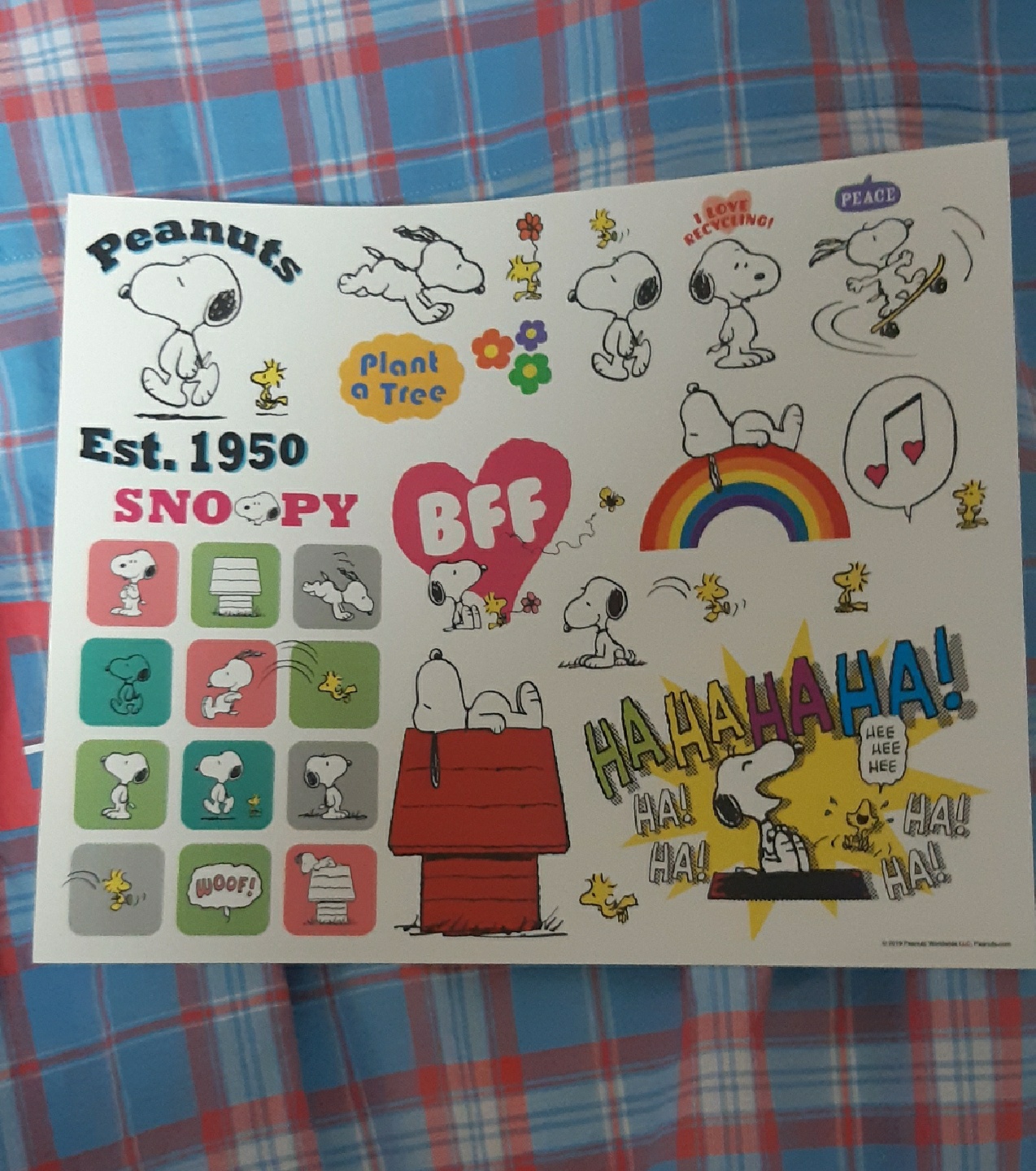 피너츠