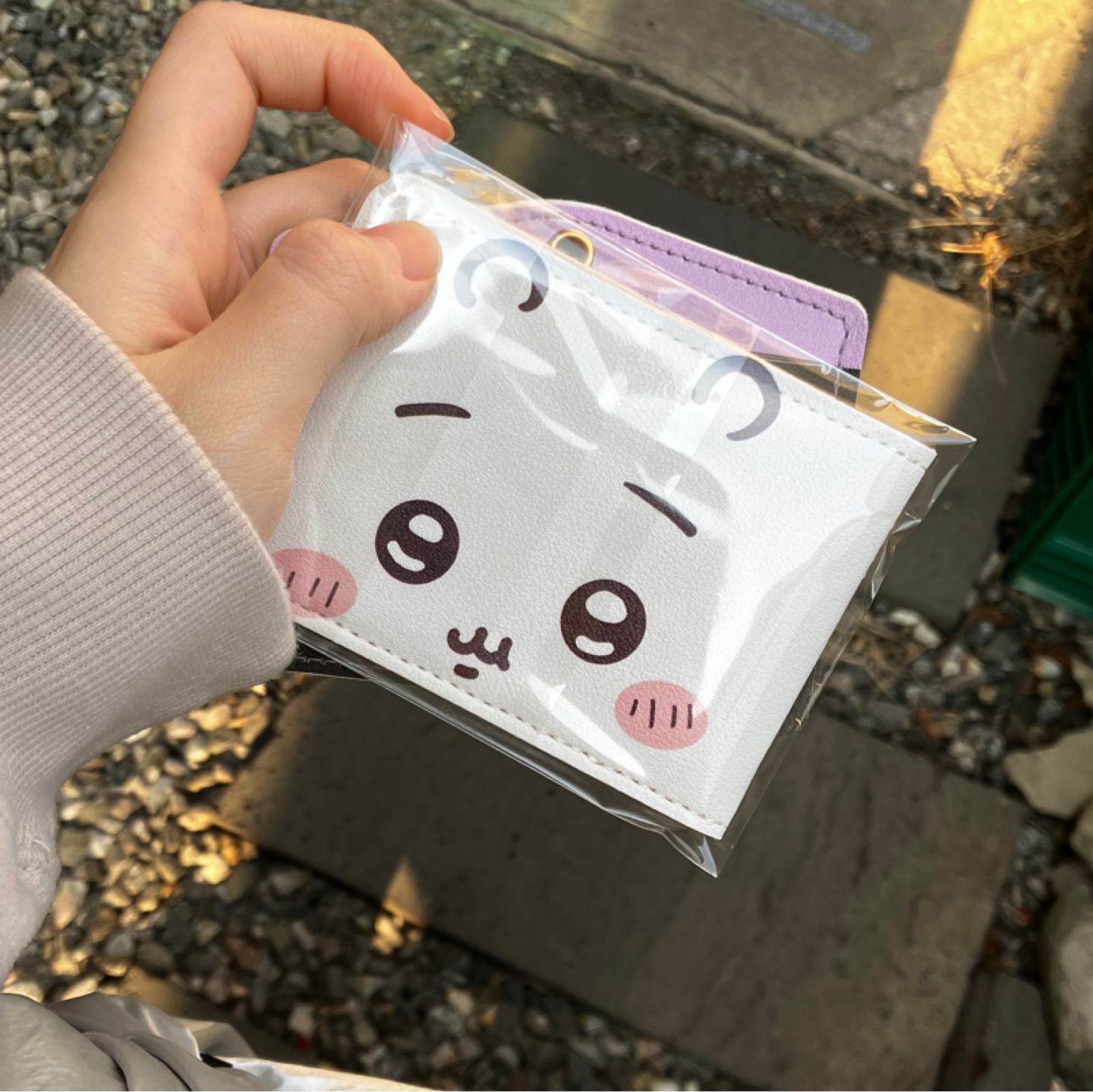 치이카와 카드지갑