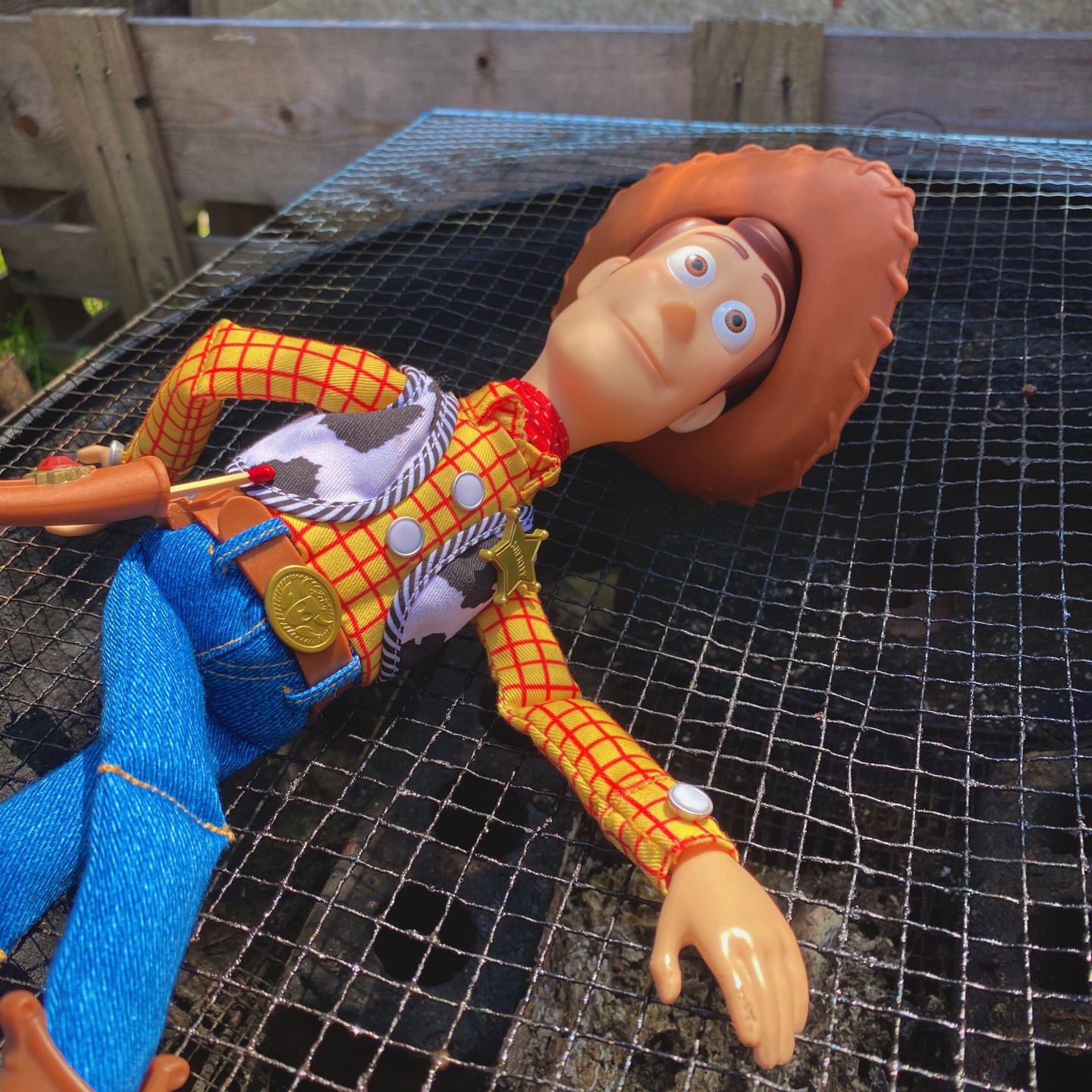 TOY STORY