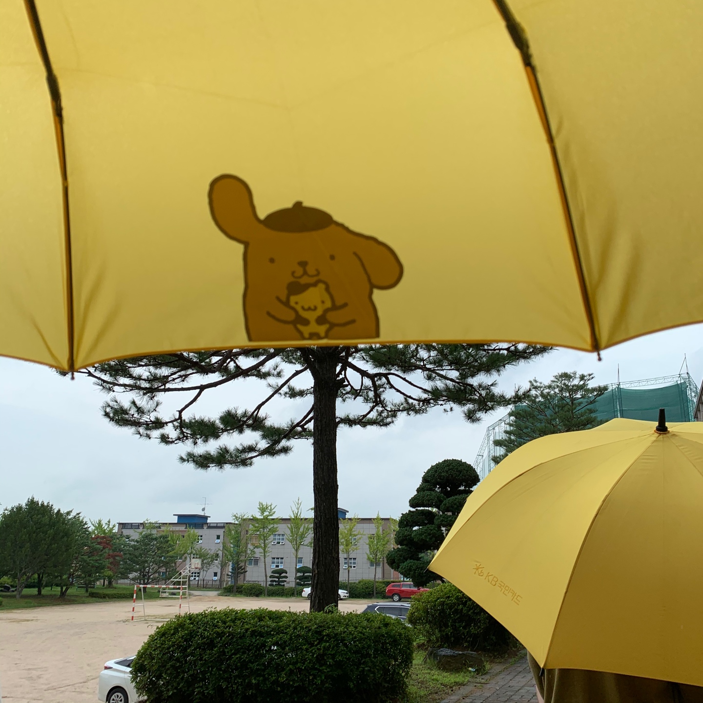 제목 없음