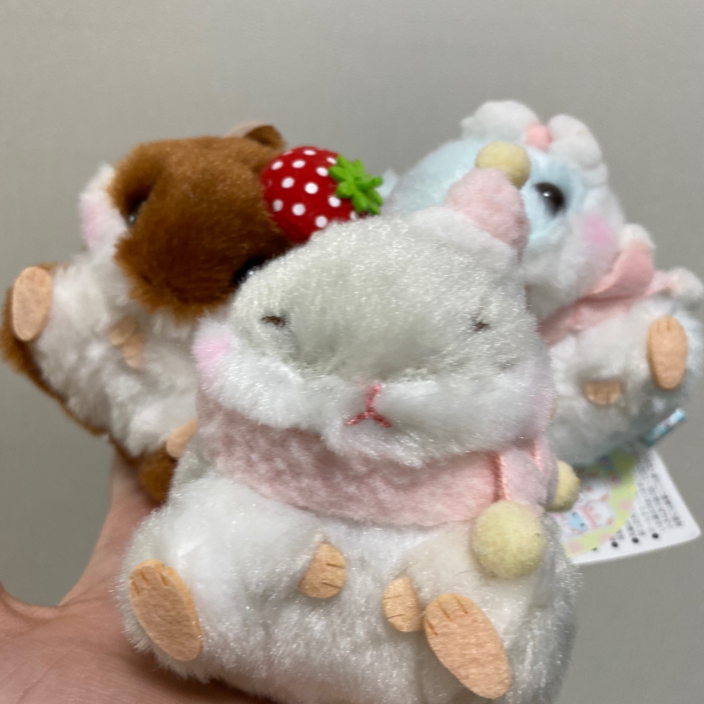 🐹 햄스터 인형들 ❤️