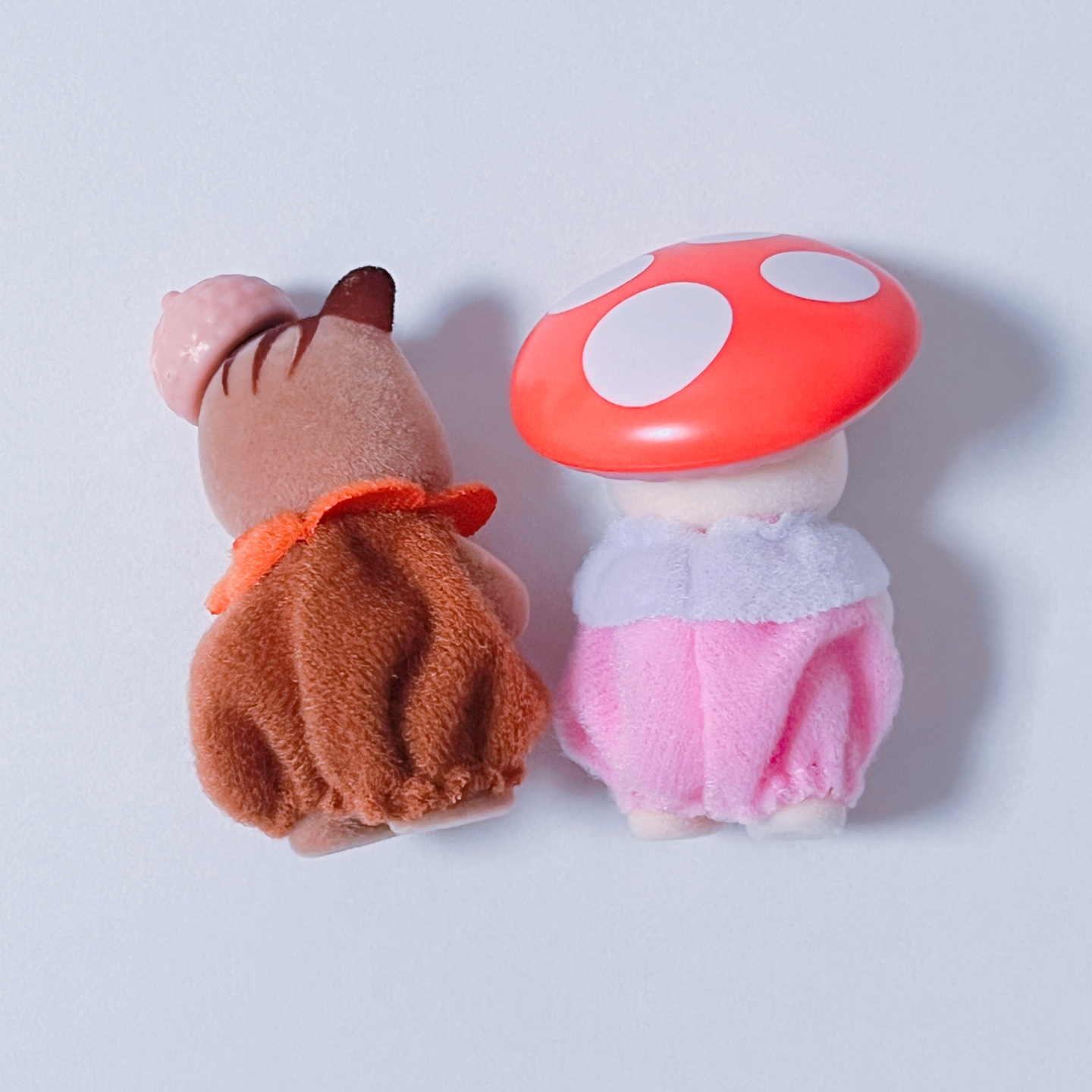 🍄아기비밀의 숲🍄