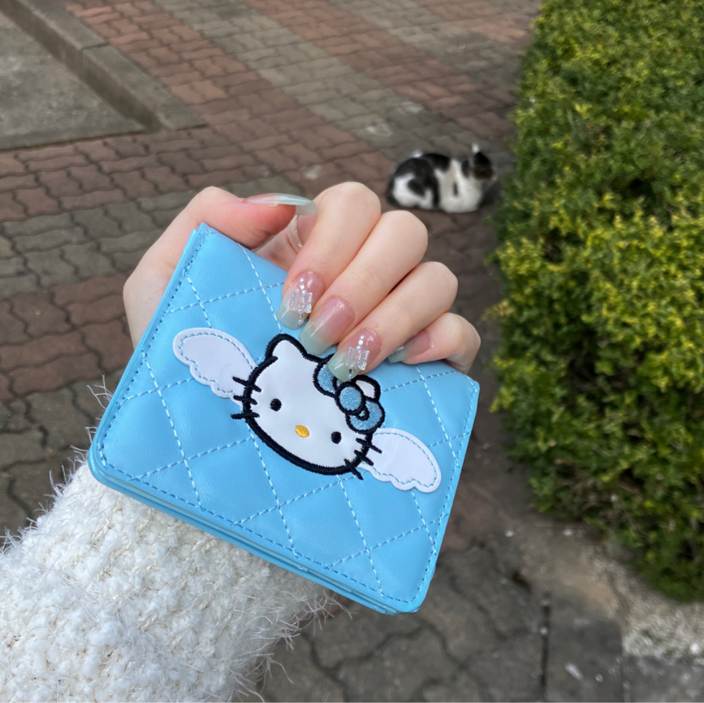 💙💙💙