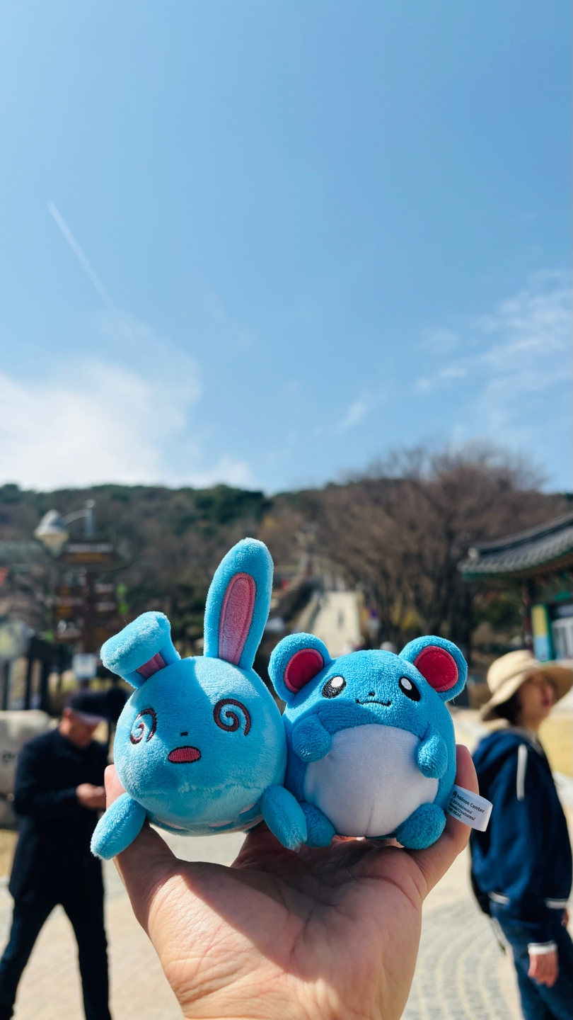 마릴 & 마릴리